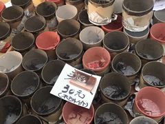 -中环花鸟鱼虫市场