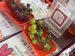 -马陆小张葡萄园农家乐