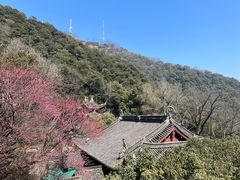 -韬光茶庵