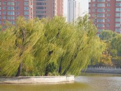 -迎泽公园