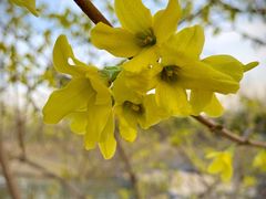 -大兴滨河森林公园