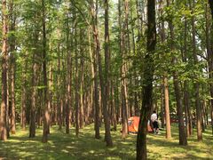 -共青国家森林公园-售票处