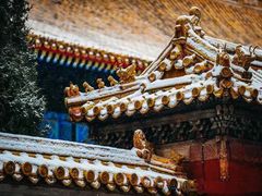 -故宫博物院(故宫)