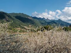 -广州市流溪河国家森林公园