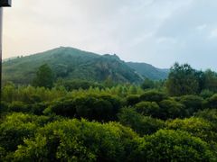 -塞罕坝国家级自然保护区