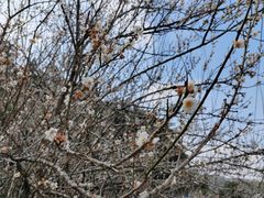 -广东天露山旅游度假区