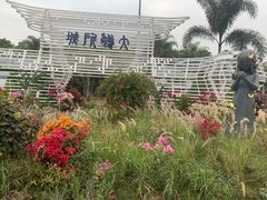 -莲花山公园