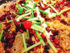 -老板恋上鱼(恒隆广场店)