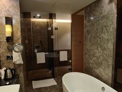 -河源万绿湖美思威尔顿酒店