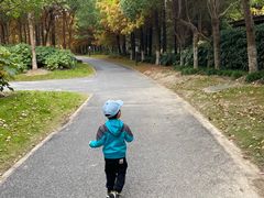 -自然谷恐龙园