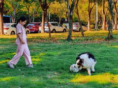 -长广溪湿地公园