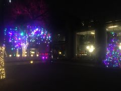 -唐廊烤鸭店(工体店)