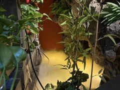 -金指缘足浴(望园路旗舰店)