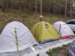 -武陵山森林公园