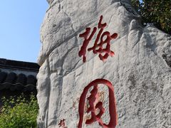 -梅园
