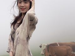 -大姆山草场