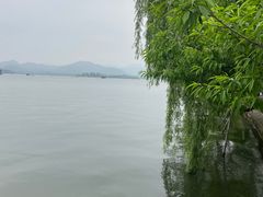 -西湖天地