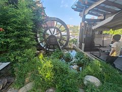 -慢丽江·云南野生菌土鸡锅(付家庄店)