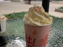-伏小桃(明瓦廊店)