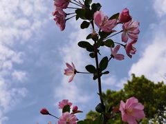 -上海吴淞炮台湾国家湿地公园