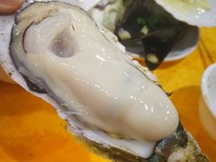-蚝专家(北滘店)