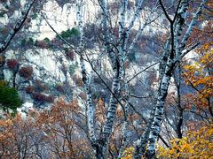 -云蒙山风景区