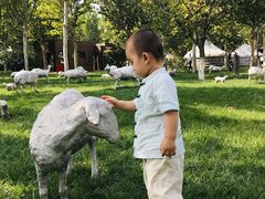 -九十九顶毡房(阜石路店)