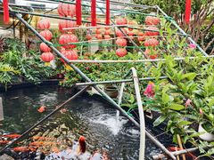 -寻味顺德·南记酒家·传统顺德菜·鱼生(广源路店)