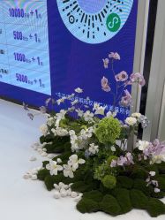 -广州美莱医疗美容医院