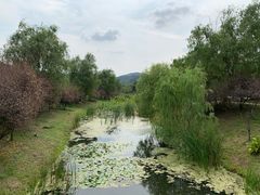 -石塘人家
