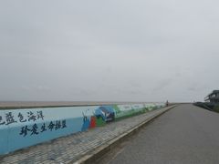 -南汇嘴观海公园