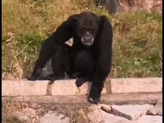 -哈尔滨北方森林动物园