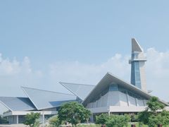 -盐城丹顶鹤湿地生态旅游区