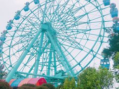 -南京银杏湖乐园