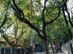 -RAC BAR(安福路店)