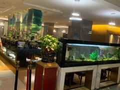 -水立方国际汤泉(六一中路店)