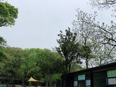 -WeLope紫金山探险公园