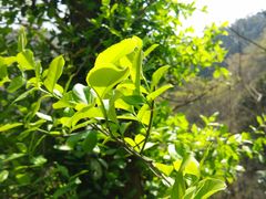 -溪口-滕头旅游景区