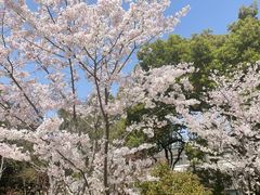 -徐家汇源景区-衡山公园