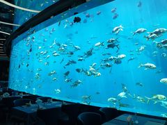-瑞德姆美人鱼海底演艺主题餐厅(亚龙湾店)