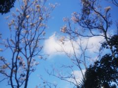 -和平公园