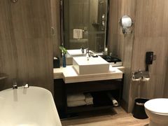 -常州环球恐龙城维景国际大酒店