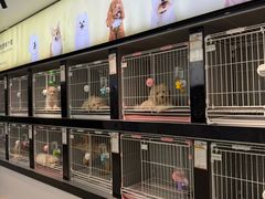 -翊宠yipet猫狗购宠庄园犬舍•猫舍