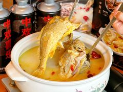 -金龙·打边炉(南京西路店)