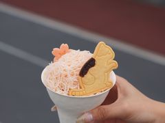 -猫里有甜