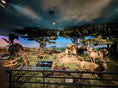 -国家自然博物馆