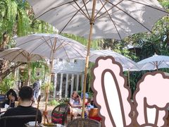 -Fern Forest Cafe