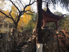 -郑和公园