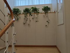 -蓉城阳光推拿馆(青台山路店)