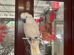 -四海楼(如皋定慧禅寺店)